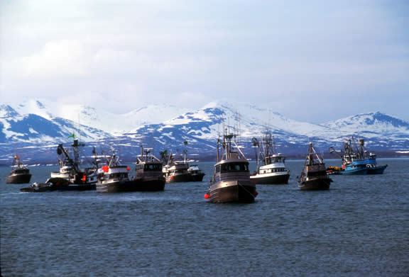 Токсичная золотодобыча