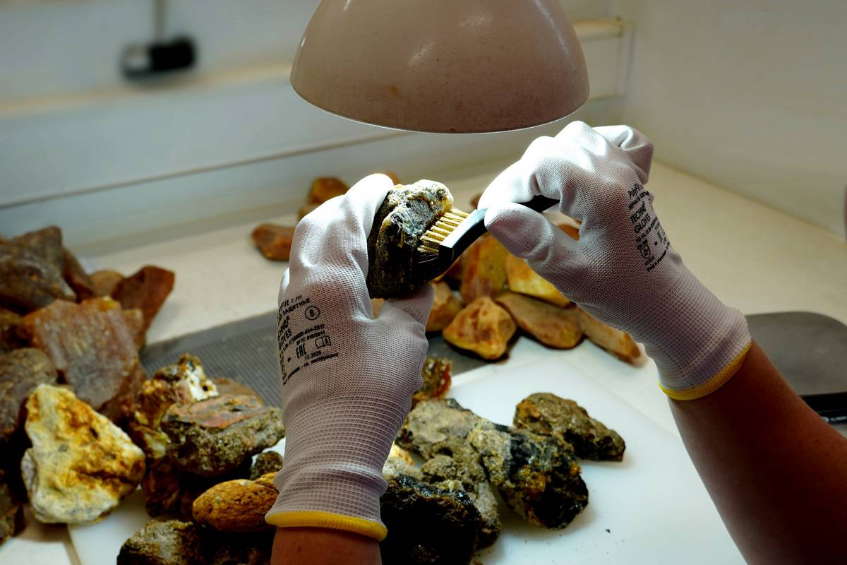 Продажи черного янтаря на аукционах выросли более чем в 12 раз